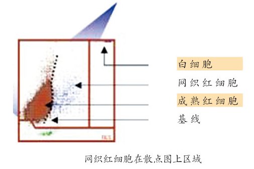 圖片點擊可在新窗口打開查看